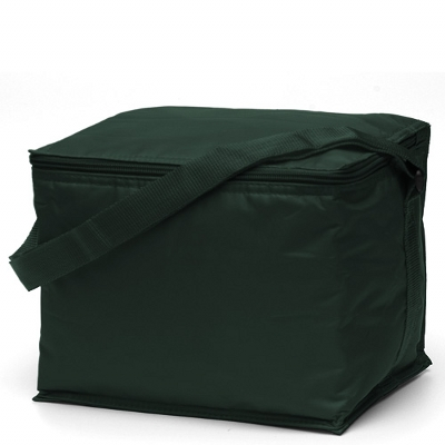 Basic 6 pack Cooler Green (2301GN_TVG)