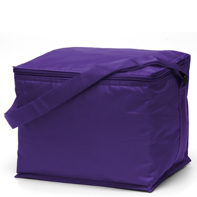Basic 6 pack Cooler Purple (2301P_TVG)